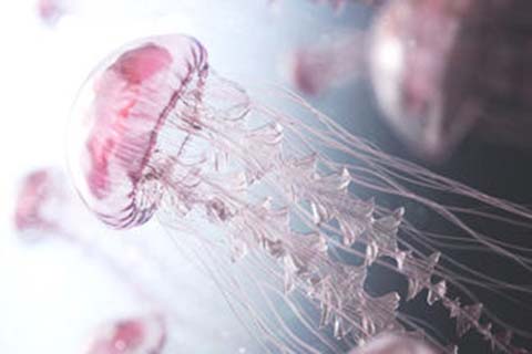 http://www.vdtfzz.com/post/208.html|贵阳人工试管