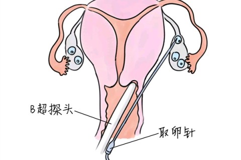 http://www.vdtfzz.com/post/205.html|贵阳供卵助孕