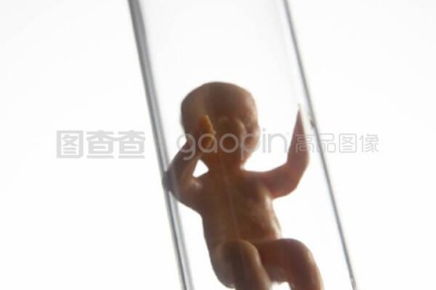 http://www.vdtfzz.com/post/197.html|贵阳试管助孕